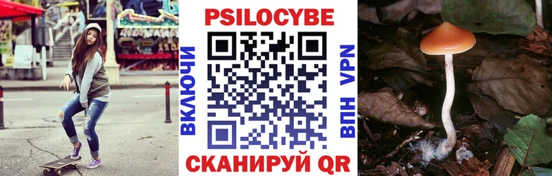 Галлюциногенные грибы ЛСД  купить   Можга 